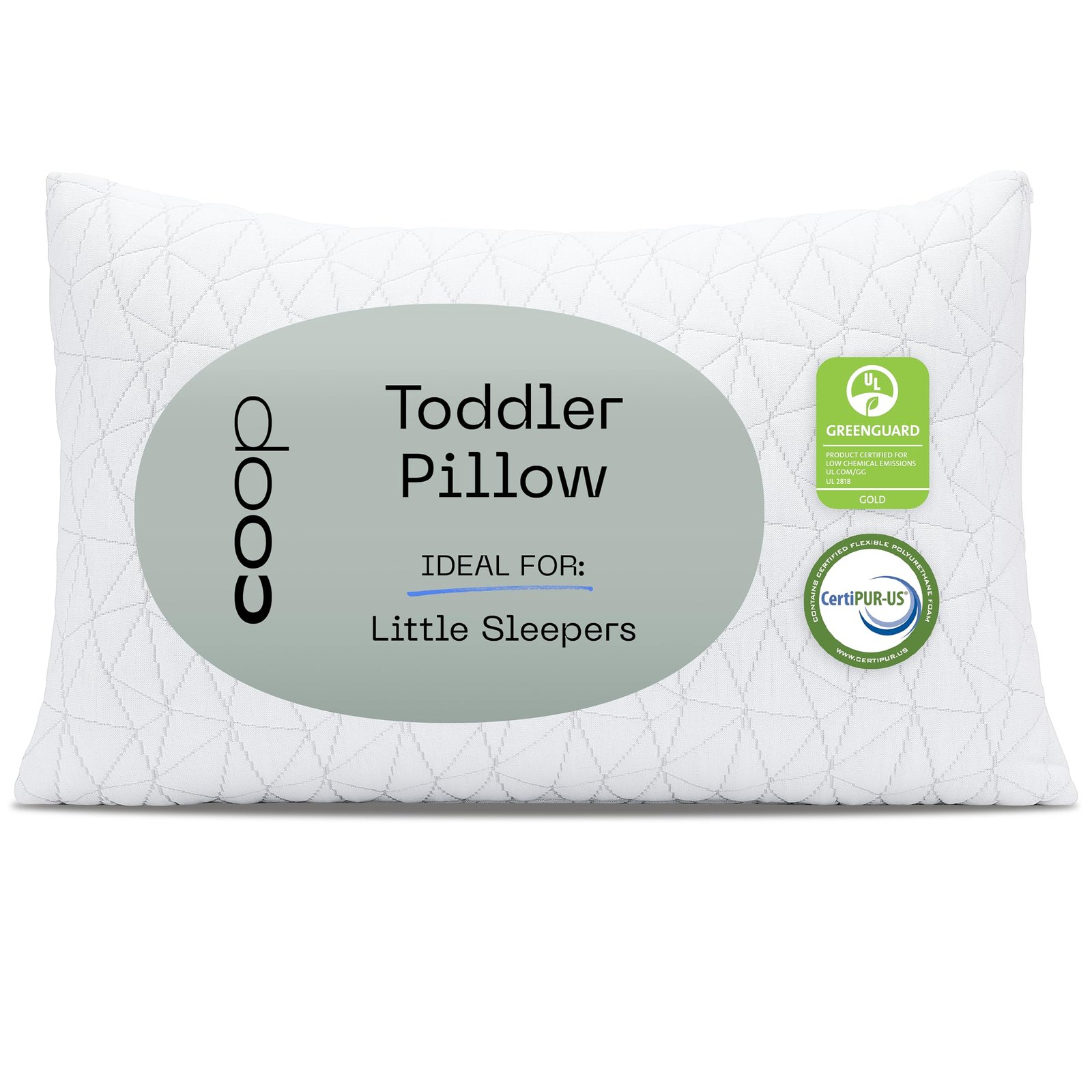 Coop Home Goods Toddler Pillow