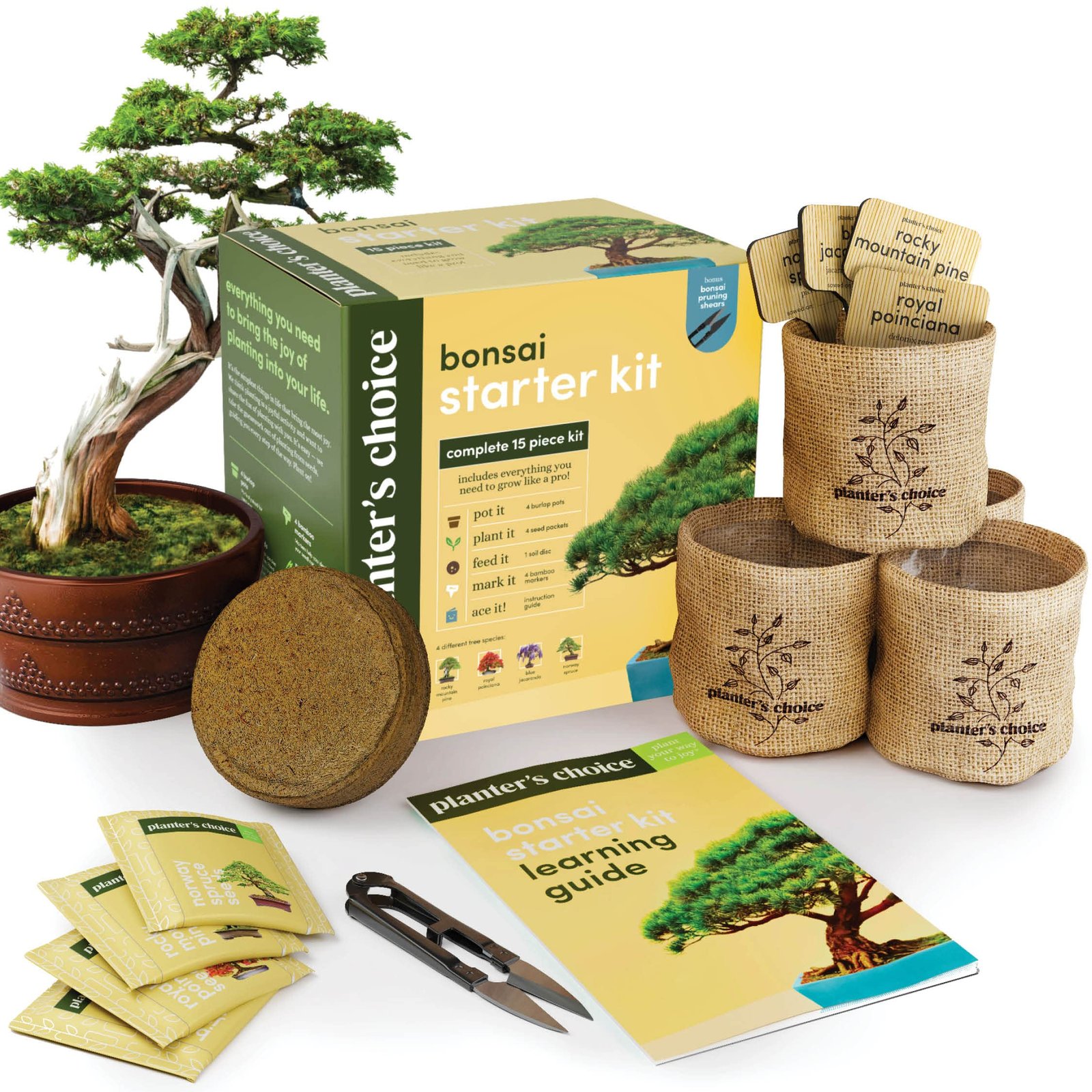 Best Bonsai Trees for Beginners: Top 8 Easy-to-Grow Options 7 Bonsai Starter Kit