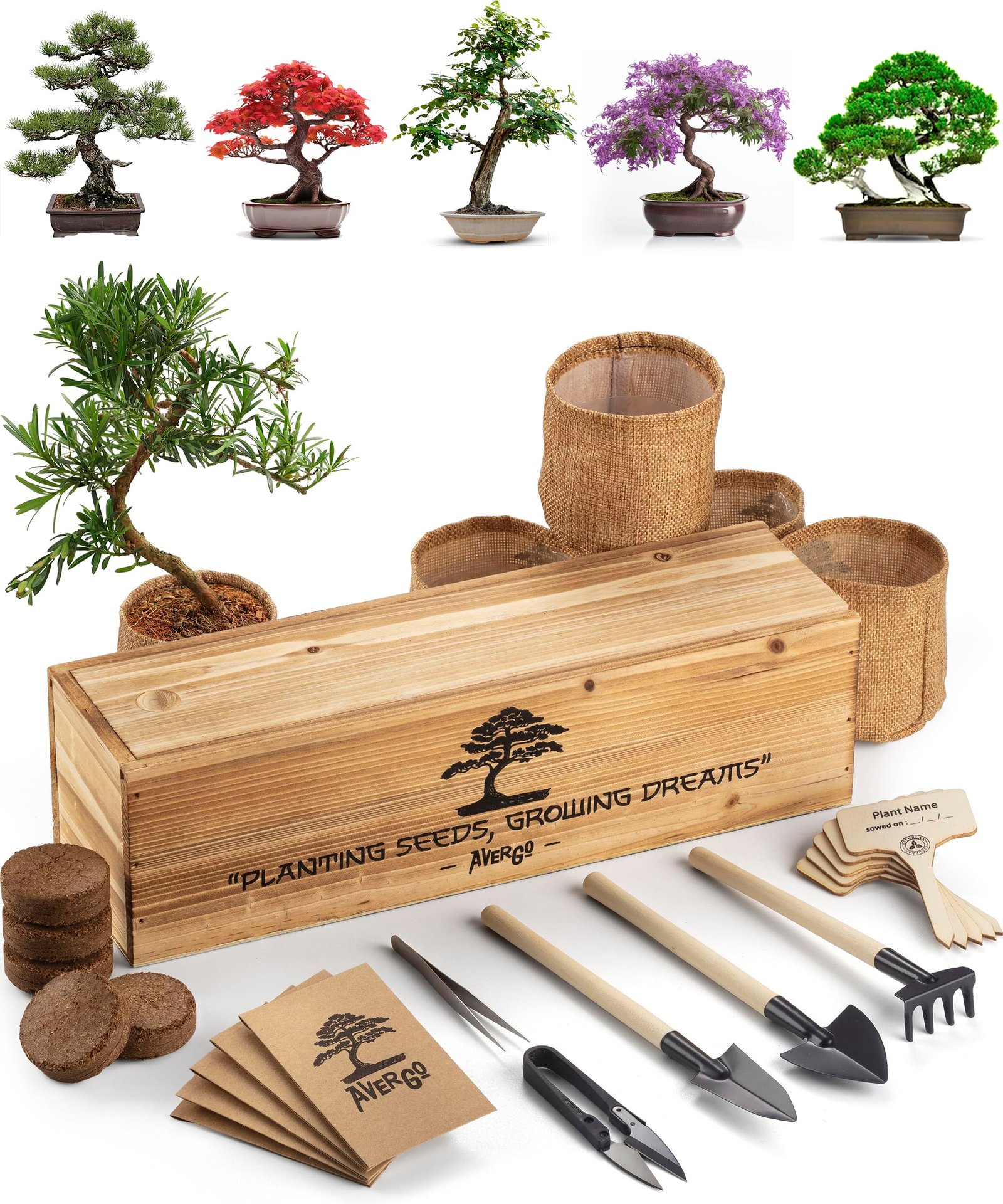 Best Bonsai Trees for Beginners: Top 8 Easy-to-Grow Options 4 AVERGO Bonsai Tree Kit