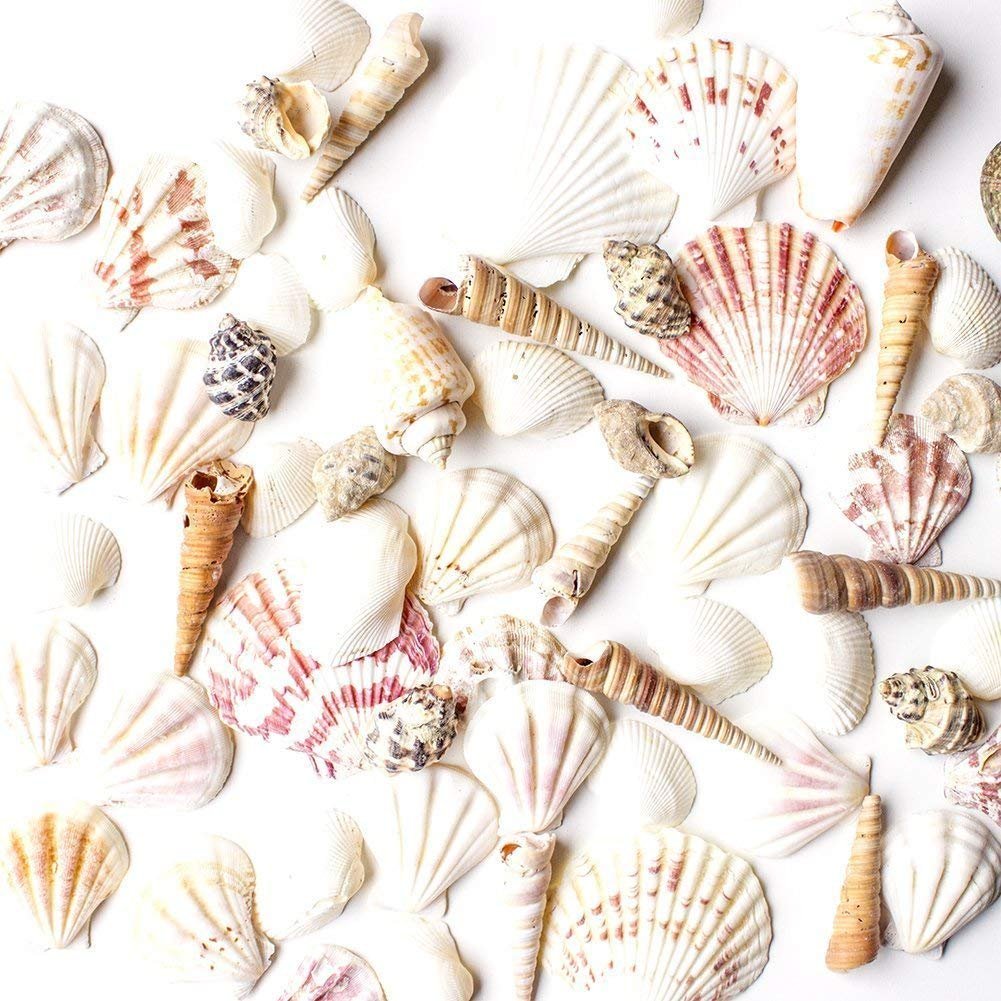 15 Nautical Table Decor Ideas for Meals That Feel Like the Coast 4 nautical table decor