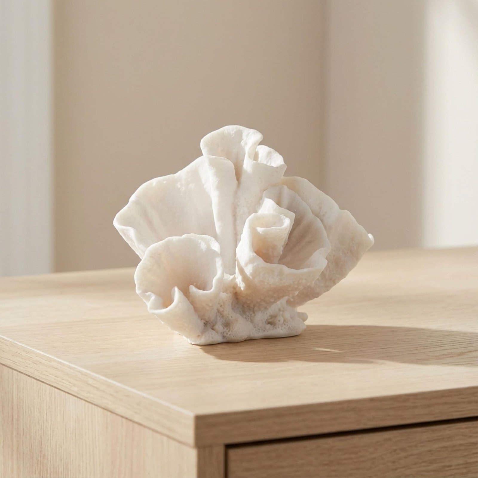 10 Coastal Shelf Decor Ideas That Make Your Walls Feel Like the Beach 4 Coastal Shelf Decor